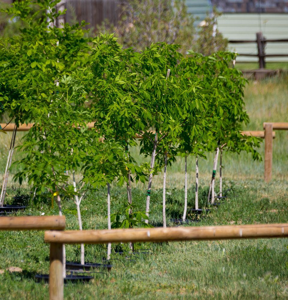 Facilities • Hillsdale Park Natural Area