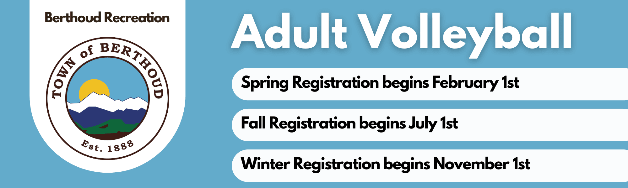 Adult Volleyball Banner