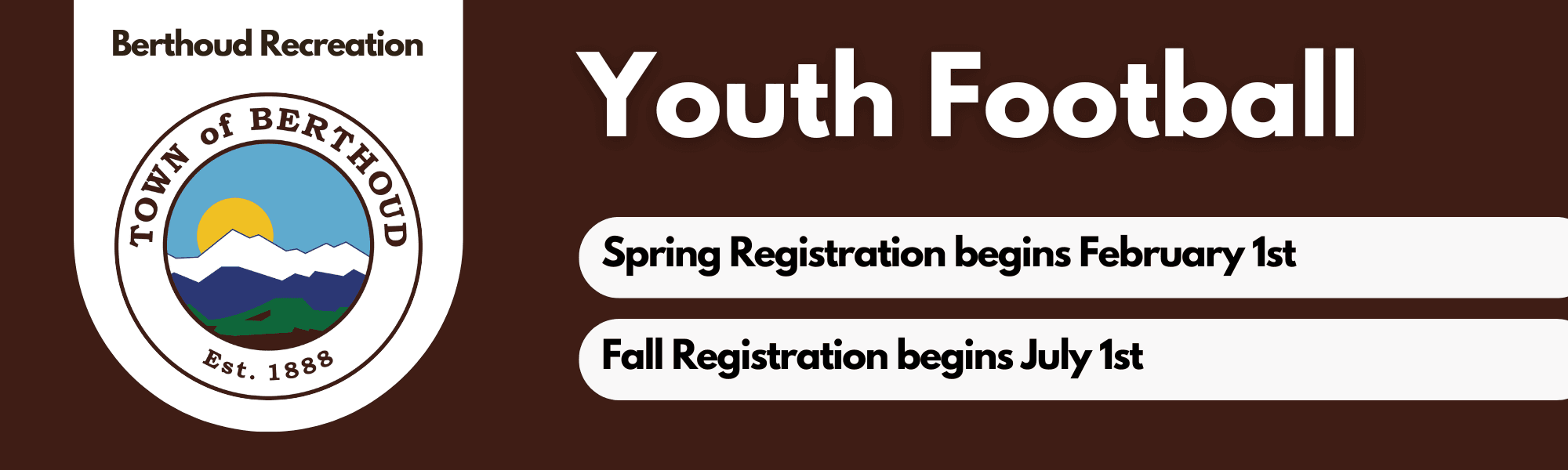 Flag Football Banner