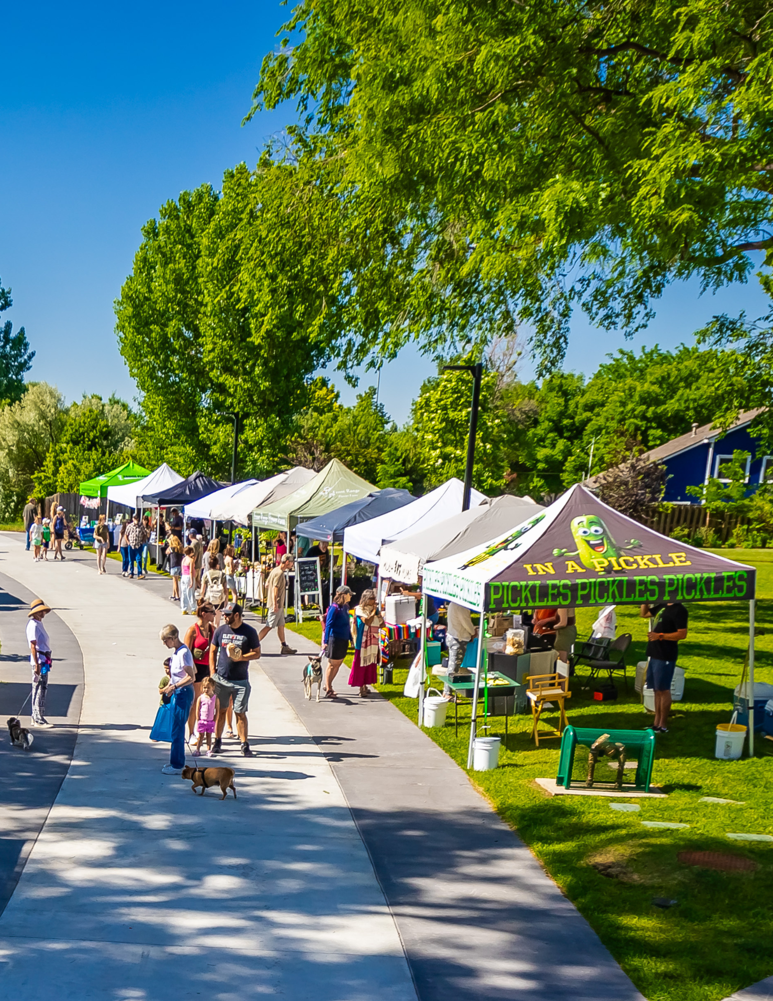 Crowd of people browsing vendor booths at the Berthoud Market in Town Park on a sunny Saturday.