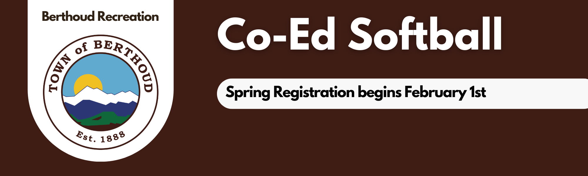 Brown adult co-ed softball title banner