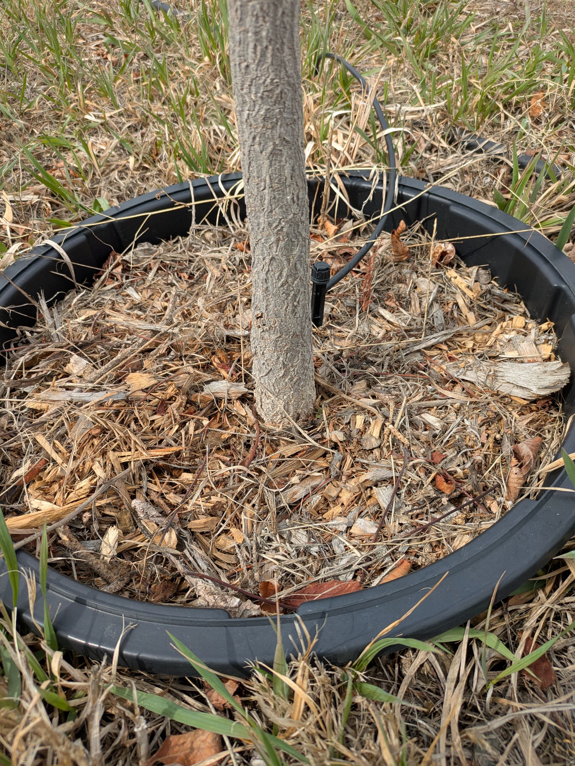 PXL_20250331_210158203