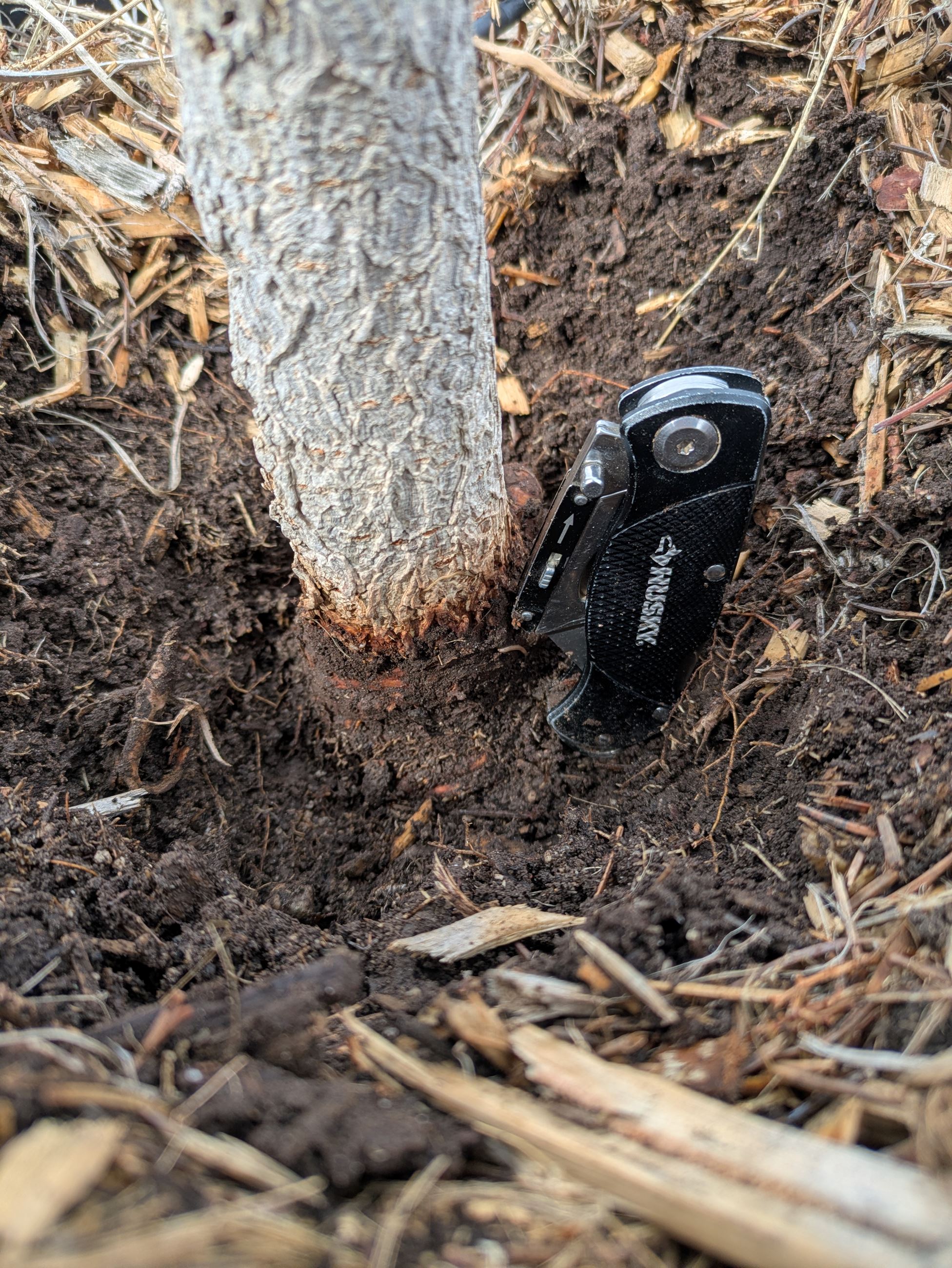 PXL_20250331_210602707